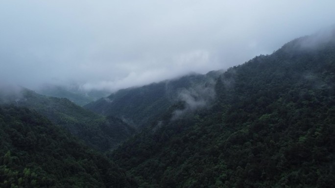 航拍雨天被云雾和竹林环绕的山间农村