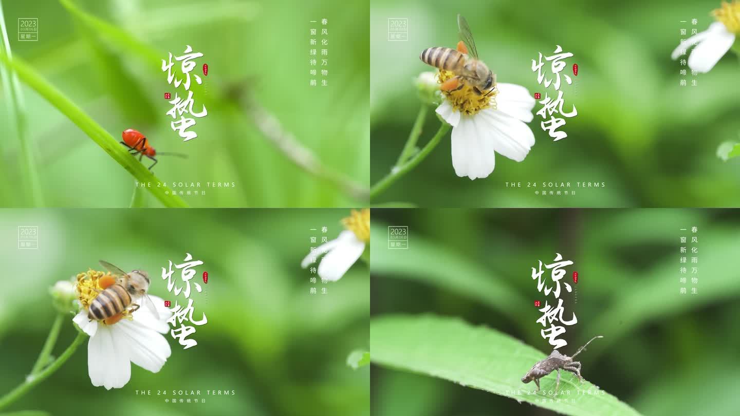 二十四节气-惊蛰节气朋友圈