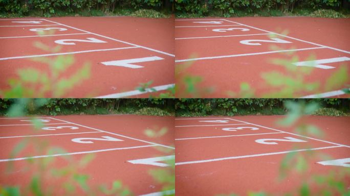 塑胶跑道