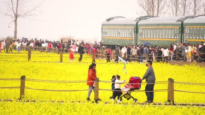 晋宁沙堤村油菜花的游客