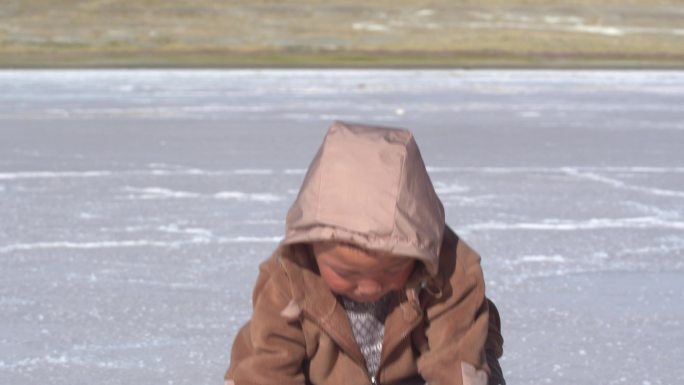 藏族男人采盐 藏族女人采盐