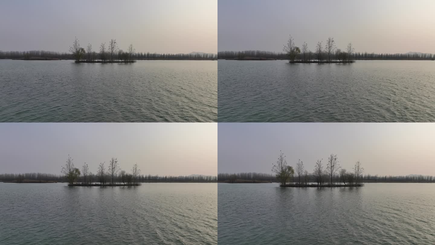 航拍襄阳汉江国家湿地公园候鸟鸬鹚自然风光