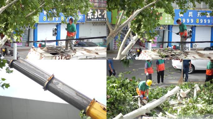 4K环卫工人园林工人处理树木修剪