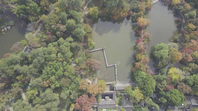 苏州天平山枫叶航拍