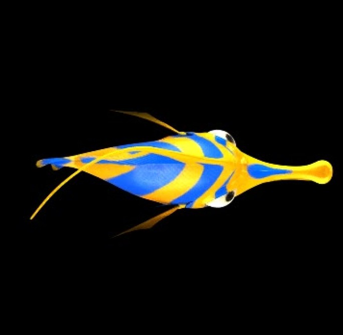 蓝色小丑鱼三维动画游戏带透明通道游走死亡