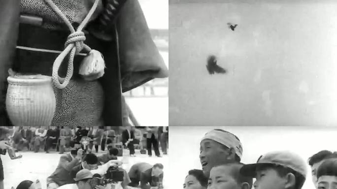 1953年日本驯鹰表演