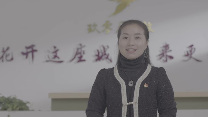 【4K灰度】创业经验交流女子访谈采访