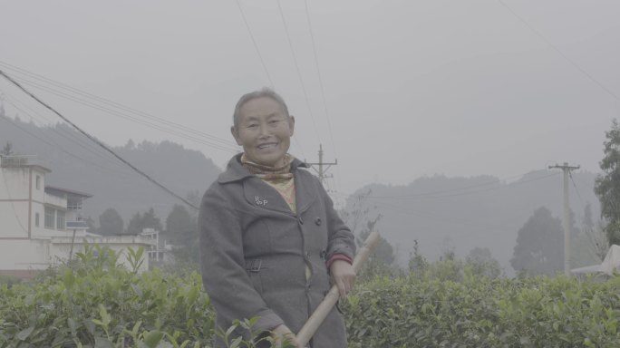 【4K灰度】农村老人锄头干活开心笑容