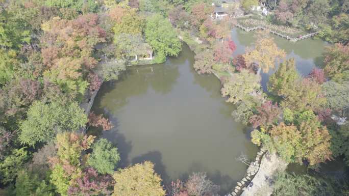 苏州天平山枫叶航拍