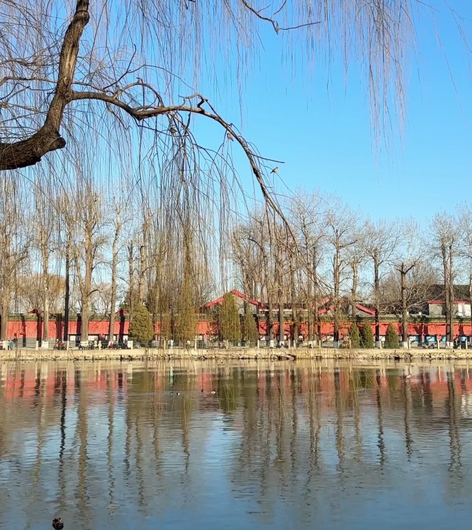 北京皇家园林北海公园