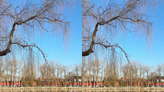 北京皇家园林北海公园