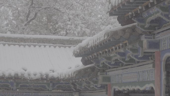 酒泉公园西汉胜迹冬季雪景灰片下雪