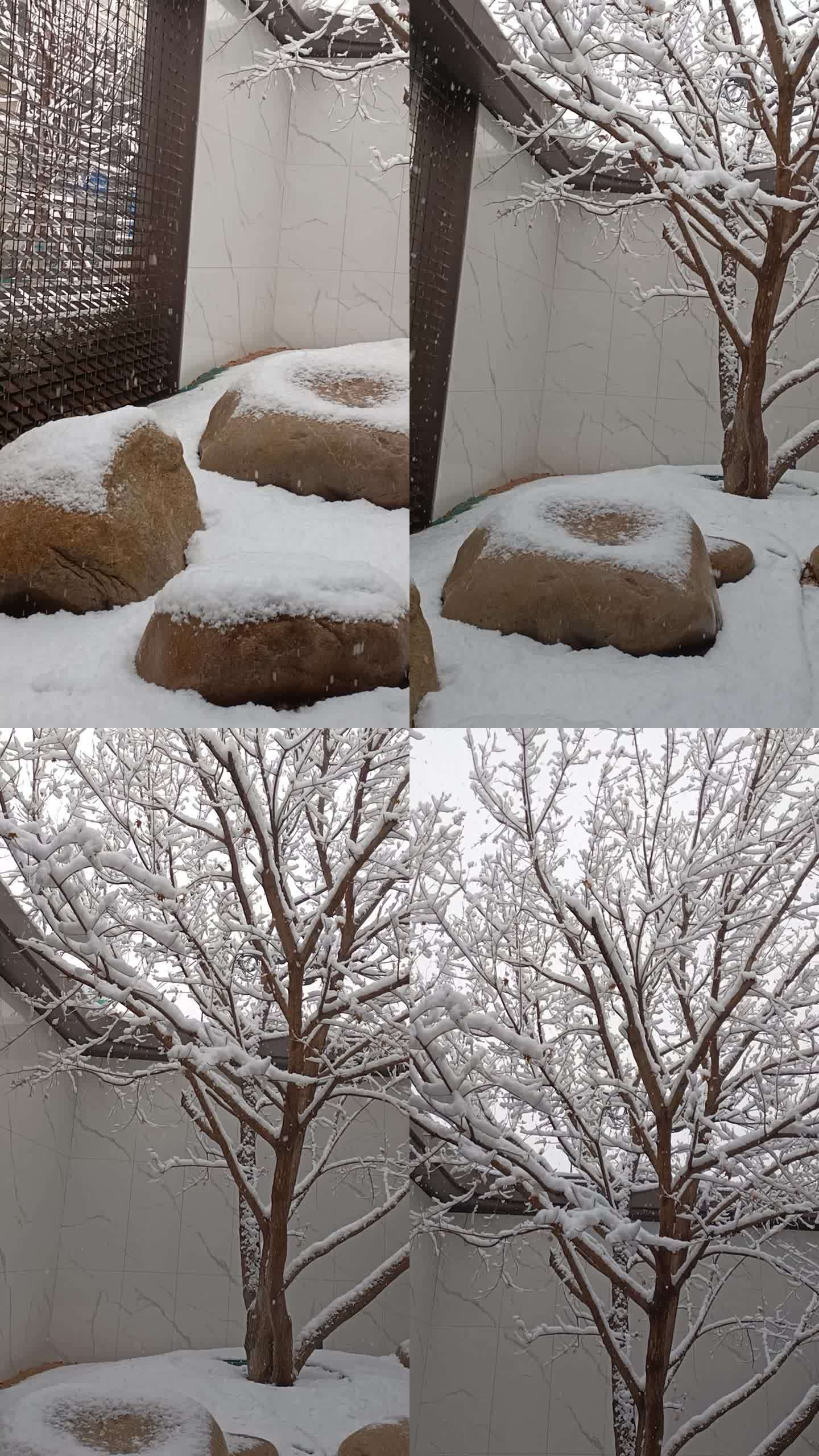 中国北方城市石家庄传统天气冬天下雪天