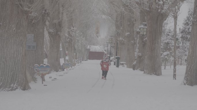 酒泉公园西汉胜迹冬季雪景灰片下雪