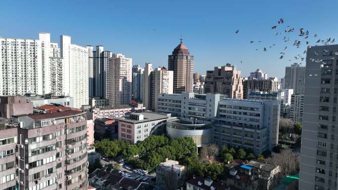 4K原素材-上海徐汇区城市全景、上海高院