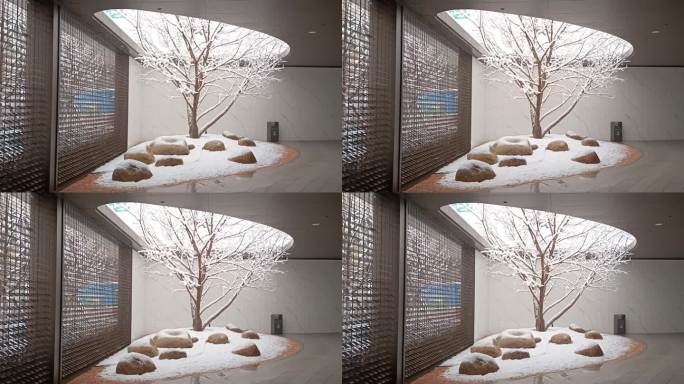 中国北方城市石家庄传统天气冬天下雪天
