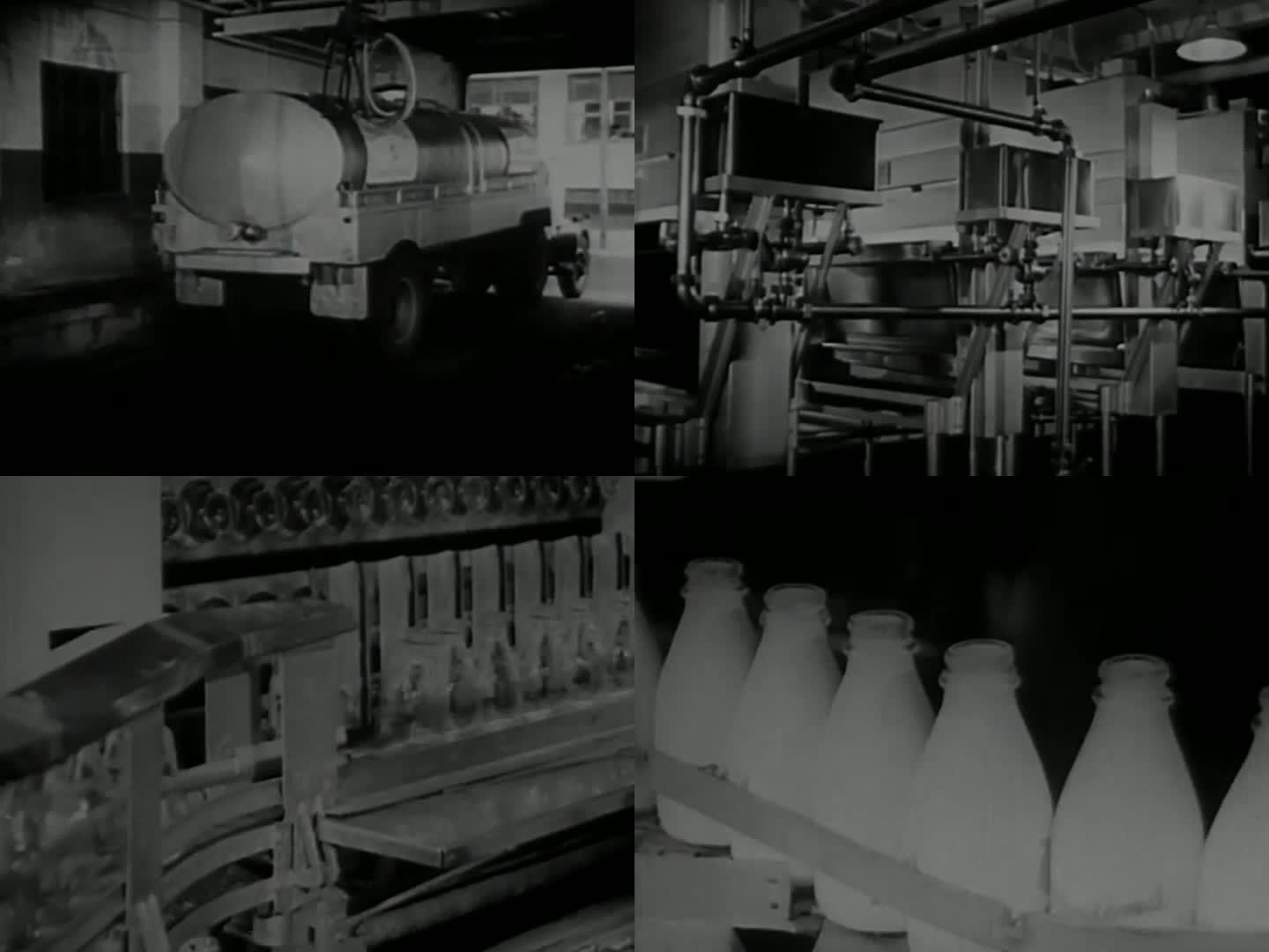 上世纪鲜奶处理 鲜奶保存