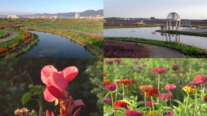 金昌花海甘肃金昌旅游全国文明城市生态家园