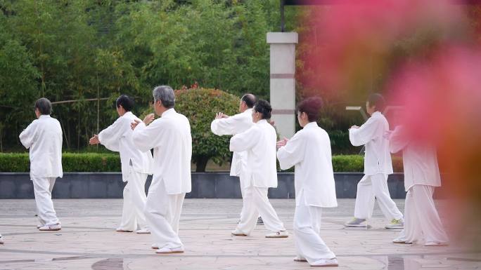 老年运动 打太极   休闲的人