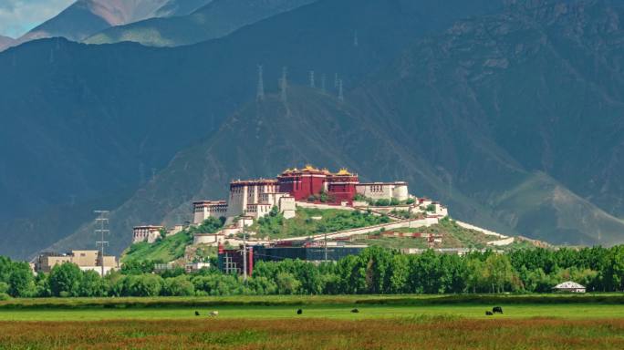 西藏拉萨拉鲁湿地布达拉宫背面夏景延时