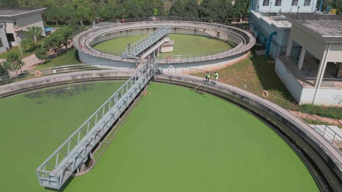 志愿者打捞污水厂圆形水池里浮萍