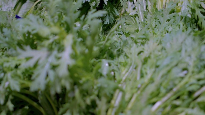 超市春季野菜尝鲜