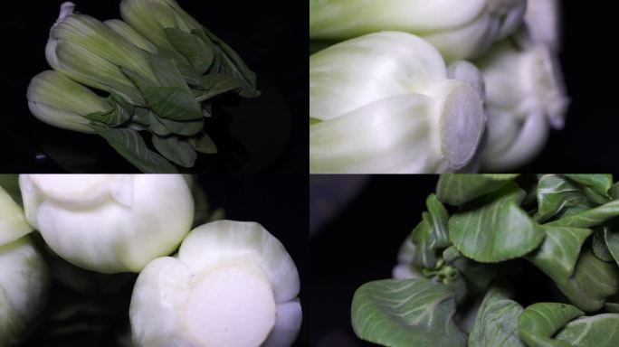 【镜头合集】小青菜绿叶菜油菜蔬菜 (2)