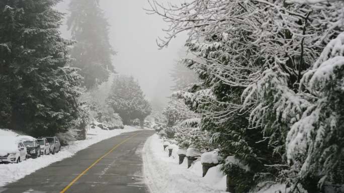 唯美慢速实拍大雪纷飞的城市景观