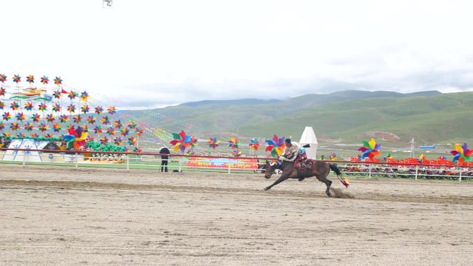 藏族男人赛马 赛马技巧 赛马编队