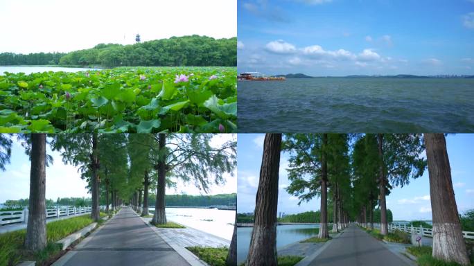 武汉东湖生态旅游风景区4K视频合集