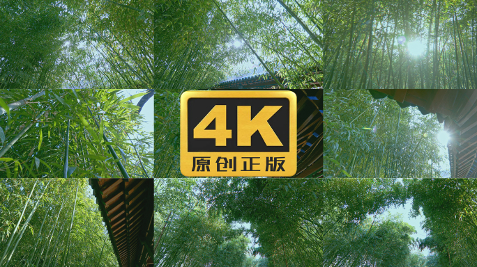 竹子竹林竹园4K