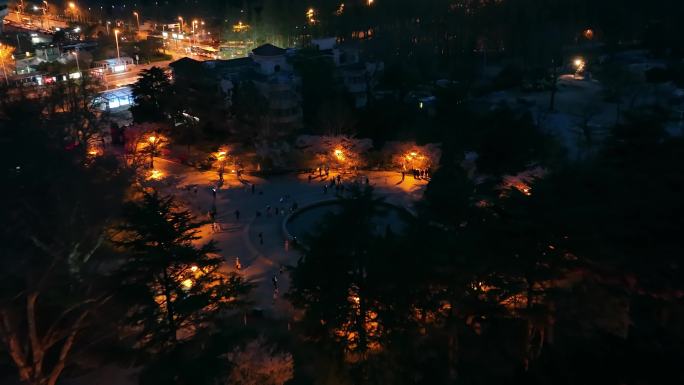 青岛中山公园樱花夜景