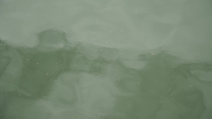 【镜头合集】波纹波光粼粼的水面 (1)