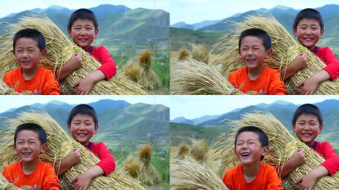 小孩抱着麦子丰收的笑脸