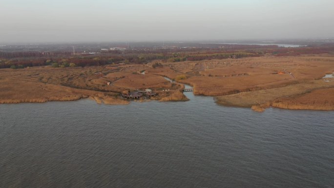 西沙湿地之冬