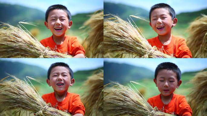 小孩抱着麦子丰收的笑脸