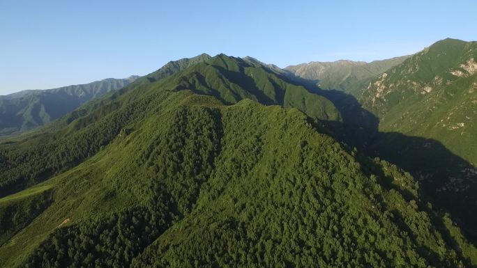 航拍 森林 蓝天白云 景区