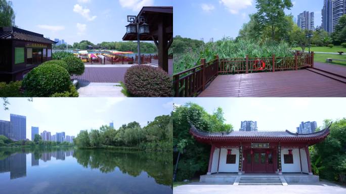（原创可商用）武汉武昌沙湖公园风光视频