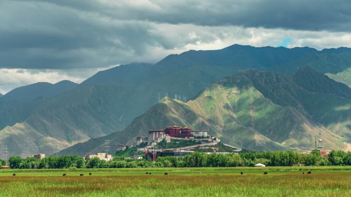 西藏拉萨拉鲁湿地布达拉宫背面夏景延时