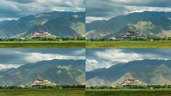 西藏拉萨拉鲁湿地布达拉宫背面夏景延时