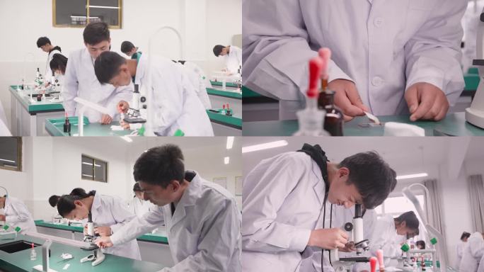 【原创实拍】中学做生物实验