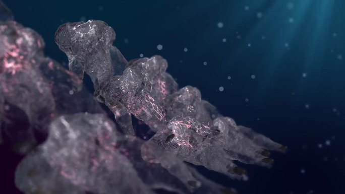 深海水母生物3D动画视频特效4KAE工程