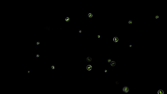 4K绿叶泡泡冲屏-循环带通道