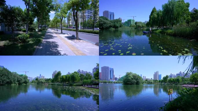 （原创可商用）武汉武昌内沙湖公园风光视频