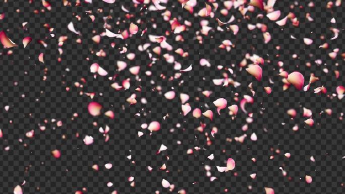樱花花瓣粒子背景变速动画