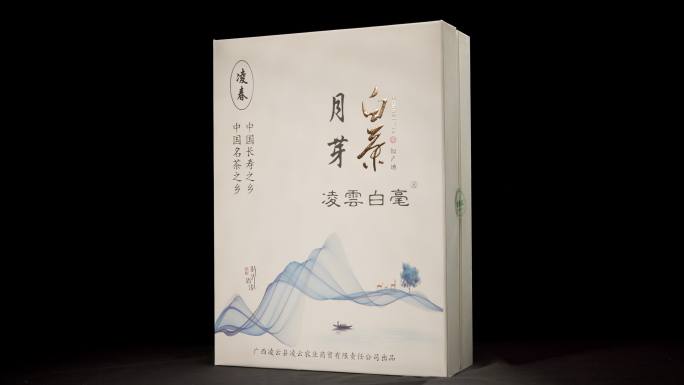 广西特色茶叶产品包装盒展示实拍素材2