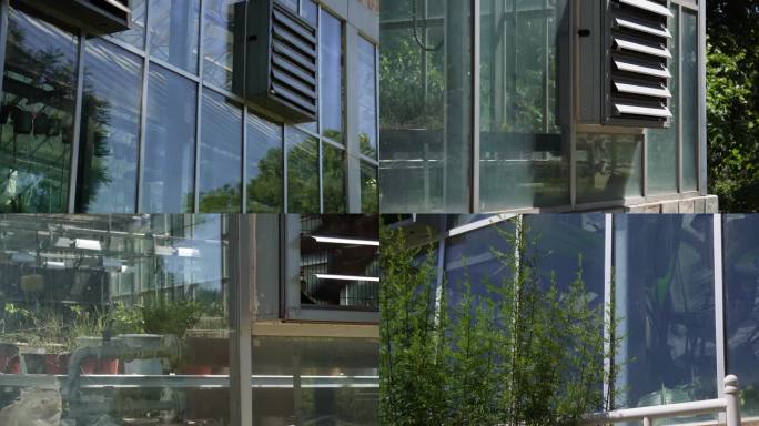 【镜头合集】阳光房大棚养殖暖房  (3)