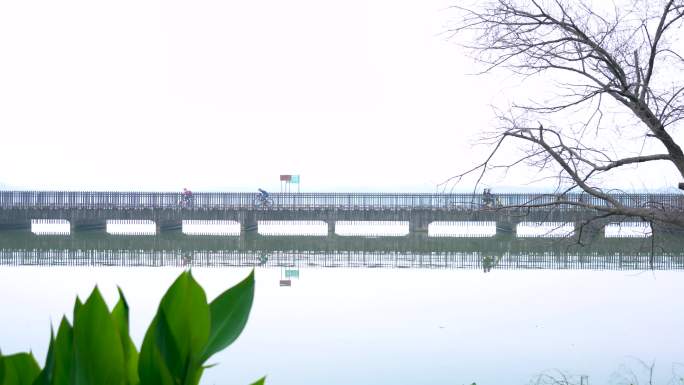 武汉东湖风景区绿道4K视频合集
