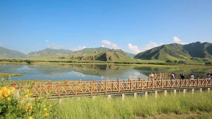 桑科草原 湿地 八角城