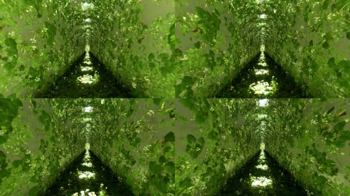 抽象生命植物隧道